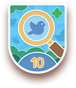 Cloud Walker badge