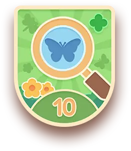 Mystic Explorer badge