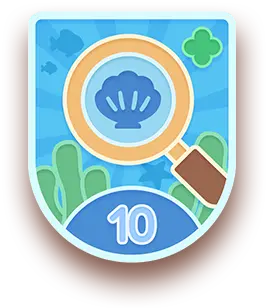 Spotless Clean badge