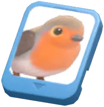 Info Card (European Robin)