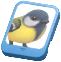 Info Card (Great Tit)