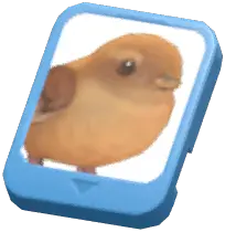Info Card (Eurasian Wren)
