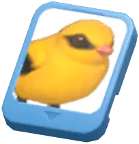 Info Card (Eurasian Golden Oriole)
