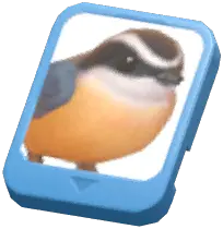Info Card (Eurasian Nuthatch)