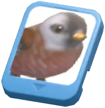 Info Card (Przevalski's Parrotbill)