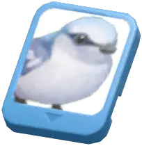Info Card (Azure Tit)