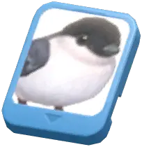 Info Card (Azores Bullfinch)