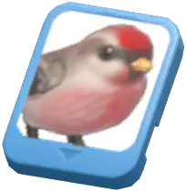 Info Card (Redpoll)