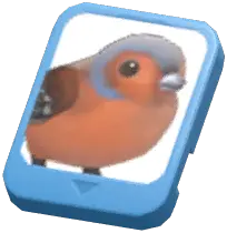 Info Card (Eurasian Chaffinch)