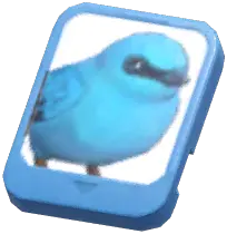 Info Card (Verditer Flycatcher)