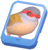 Info Card (Red-Browed Finch)