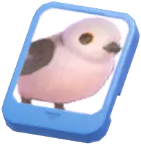 Info Card (Silver-Throated Tit)