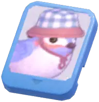 Info Card (Gray Camping Sparrow)