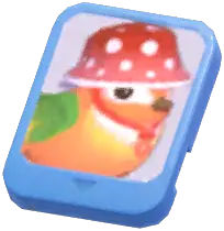 Info Card (Orange Camping Sparrow)