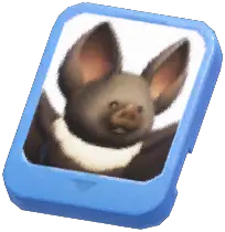 Info Card (Long‑Toothed Fruit Bat)