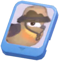 Info Card (Brown Camping Sparrow)