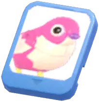 Info Card (Pink Brick Sparrow)