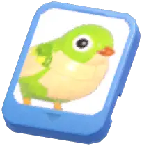 Info Card (Green Brick Sparrow)