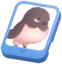 Info Card (Eurasian Bullfinch)