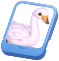 Info Card (Whooper Swan)