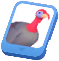 Info Card (Turkey)