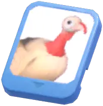 Info Card (Royal Palm Turkey)