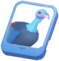 Info Card (Ocellated Turkey)