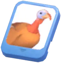 Info Card (Bourbon Red Turkey)