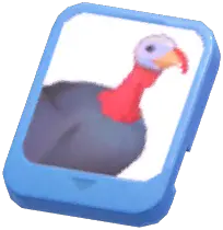 Info Card (Black Turkey)