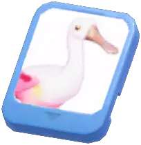 Info Card (Roseate Spoonbill)