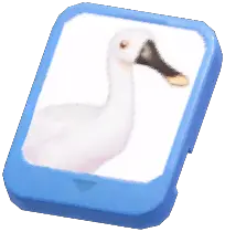 Info Card (White Spoonbill)