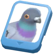 Info Card (Stock Dove)