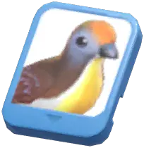 Info Card (Cinnamon Ground Dove)