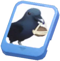 Info Card (Truffle Raven)