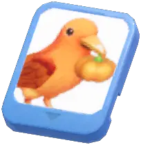 Info Card (Pumpkin Raven)