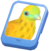 Info Card (Wallace's Fruit Dove)