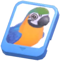 Info Card (Blue-and-yellow Macaw)