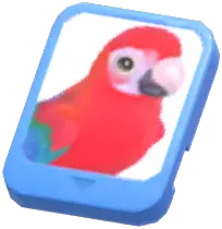Info Card (Red-and-green Macaw)