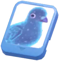 Info Card (Blue Light Stock Dove)