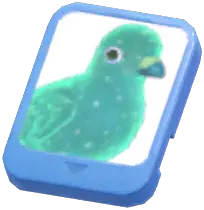 Info Card (Green Light Stock Dove)