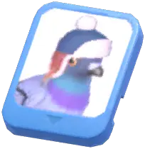 Info Card (Blue Hat Stock Dove)