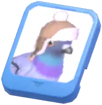 Info Card (Brown Hat Stock Dove)