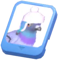 Info Card (White Hat Stock Dove)