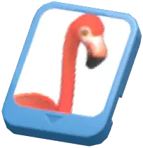 Info Card (American Flamingo)