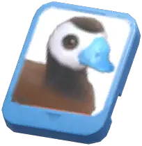 Info Card (White-Headed Duck)