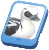 Info Card (Smew)