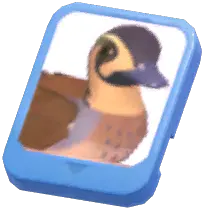 Info Card (Baikal Teal)