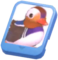 Info Card (Mandarin Duck)