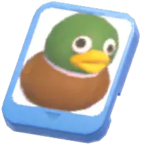 Info Card (Inflatable Mallard)