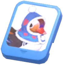 Info Card (Winter Mandarin Duck)